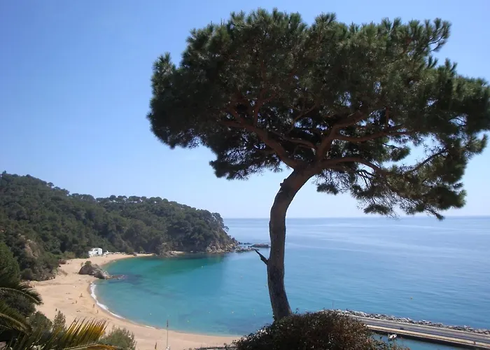 Miramar * 滨海略雷特